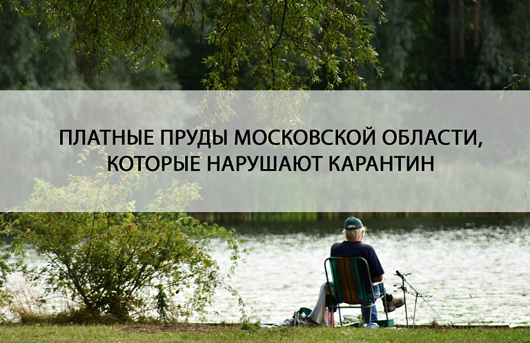 Расследование: Платные пруды Московской области, которые работают не смотря на карантин